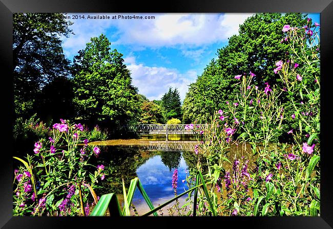 One of the many bridges in Birkenhead Park, Wirral Framed Print by Frank Irwin