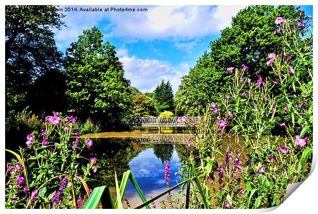 One of the many bridges in Birkenhead Park, Wirral Print by Frank Irwin