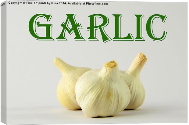 Garlic Canvas Print by Fine art by Rina