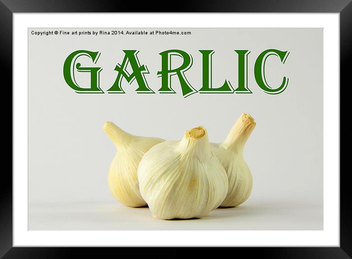 Garlic Framed Mounted Print by Fine art by Rina