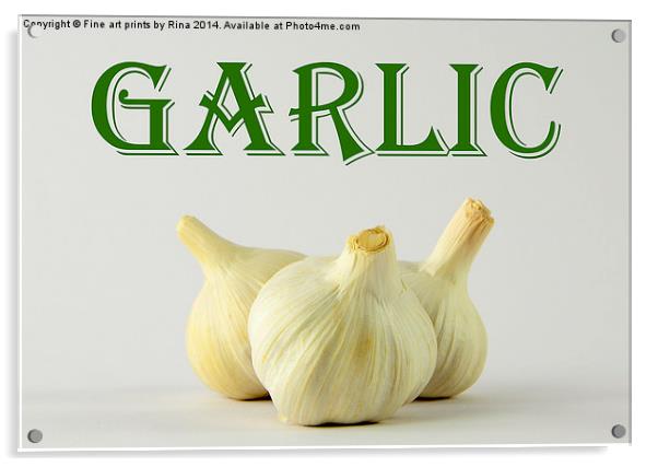 Garlic Acrylic by Fine art by Rina