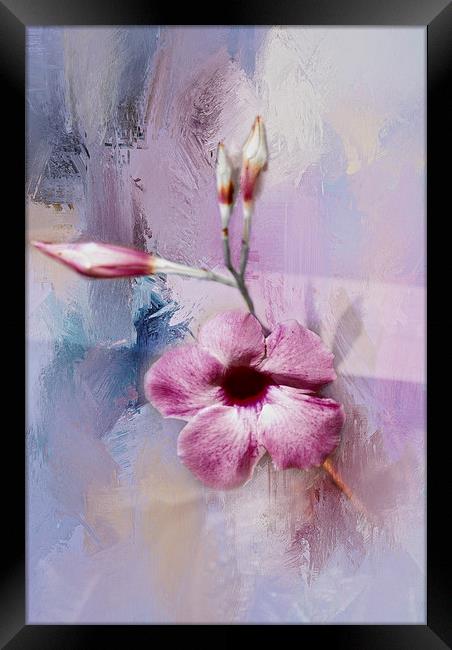 Painted Flowers Framed Print by Judy Hall-Folde