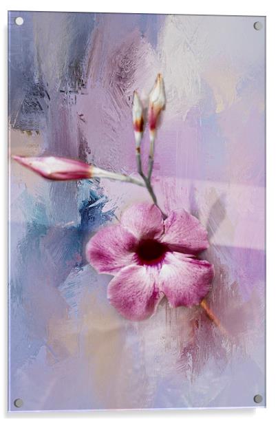 Painted Flowers Acrylic by Judy Hall-Folde
