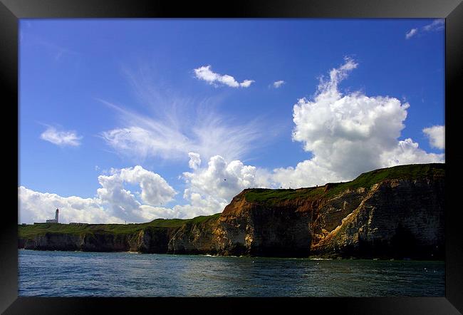 Flamborough The Cliffs Framed Print by Ian Pettman