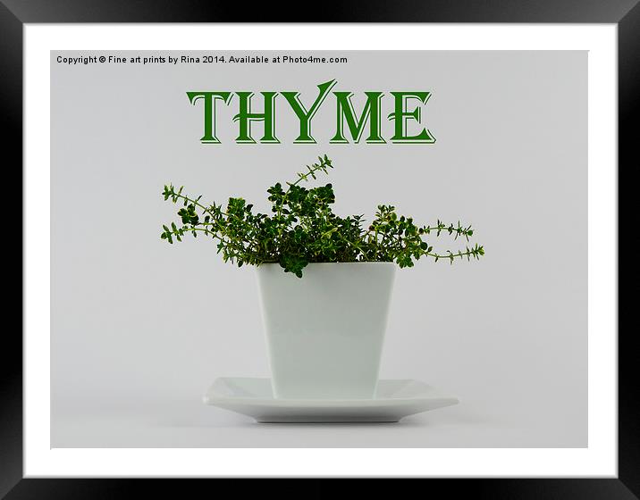 Thyme Framed Mounted Print by Fine art by Rina