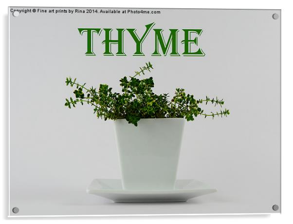 Thyme Acrylic by Fine art by Rina