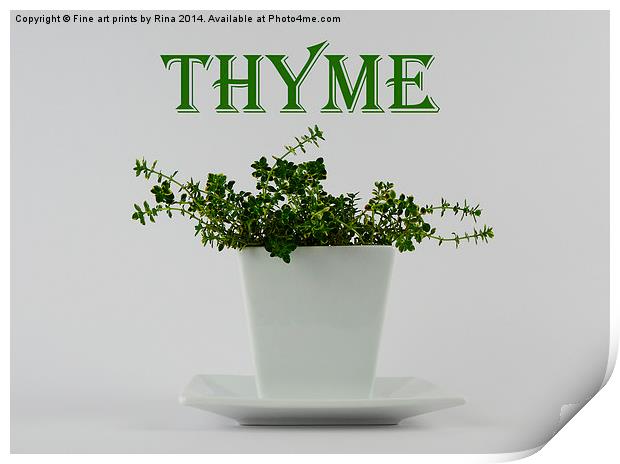 Thyme Print by Fine art by Rina