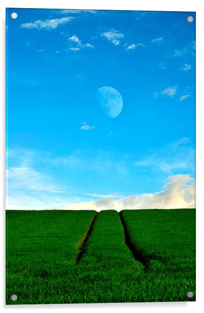Gibbous Moon Acrylic by Macrae Images
