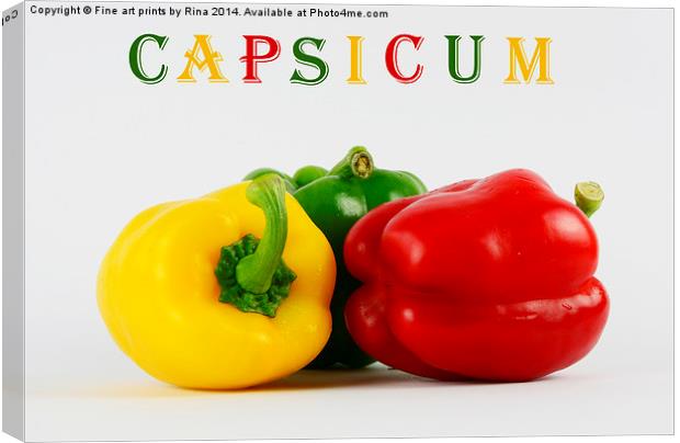 Capsicum Canvas Print by Fine art by Rina