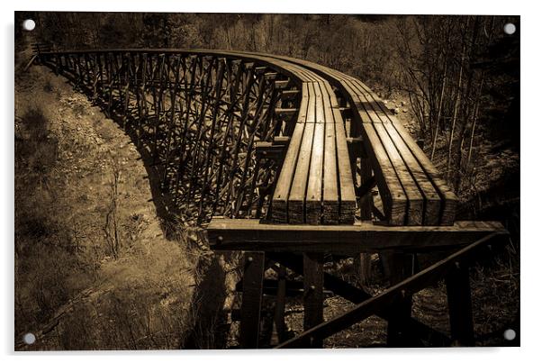 Bridge To Nowhere Acrylic by Gareth Burge Photography