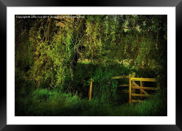 Meadow Gate 6 Framed Mounted Print by Julie Coe