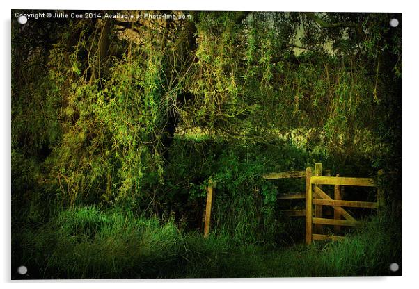 Meadow Gate 6 Acrylic by Julie Coe