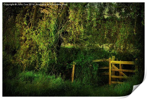Meadow Gate 6 Print by Julie Coe