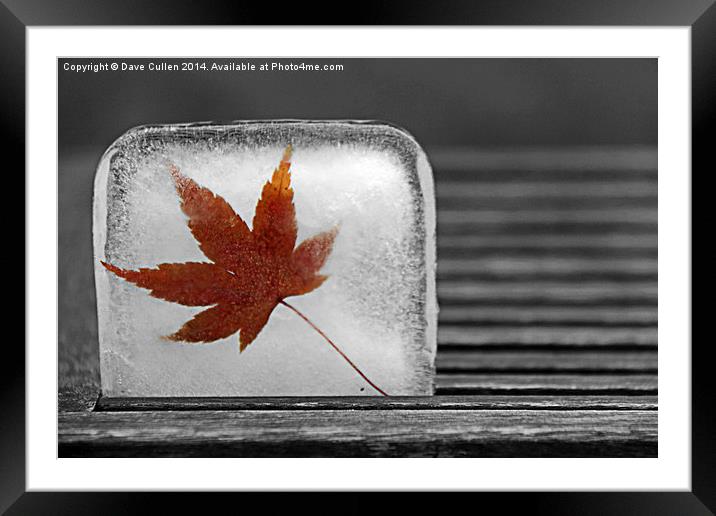 Cool Leaf Framed Mounted Print by Dave Cullen