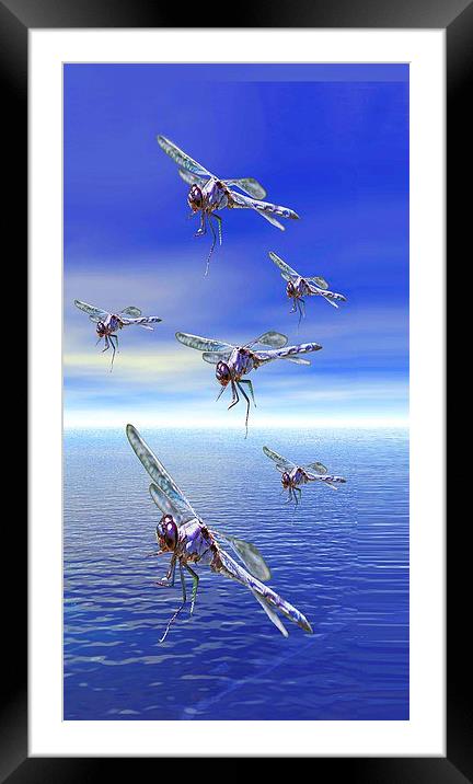Dragonfly Framed Mounted Print by Matthew Lacey