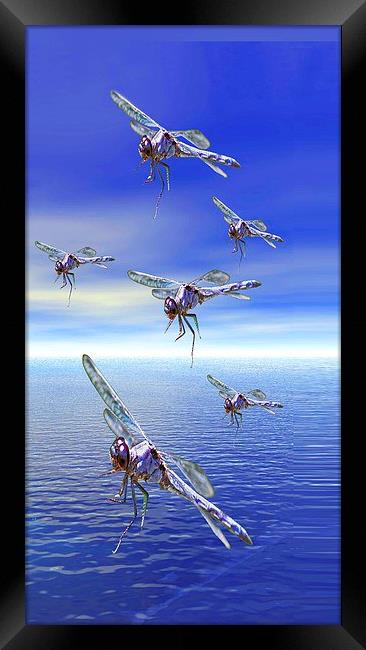 Dragonfly Framed Print by Matthew Lacey
