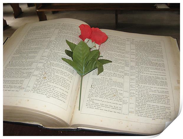 Bible with Flower Print by Diane Brause