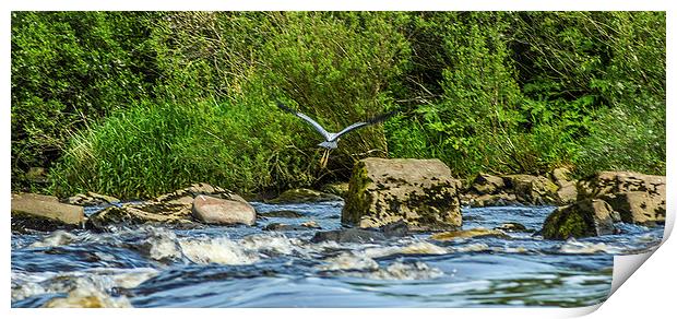 The Winged Fisherman Print by John Ellis