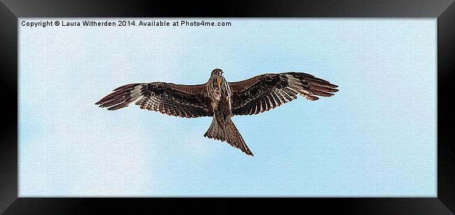 Red Kite Canvas Framed Print by Laura Witherden