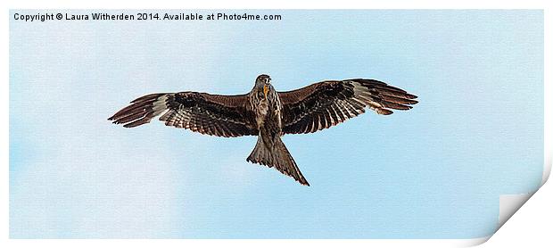 Red Kite Canvas Print by Laura Witherden