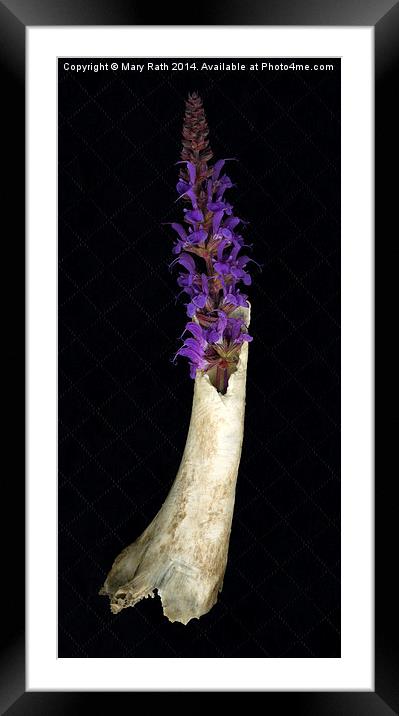 Purple Flowers #2 Framed Mounted Print by Mary Rath
