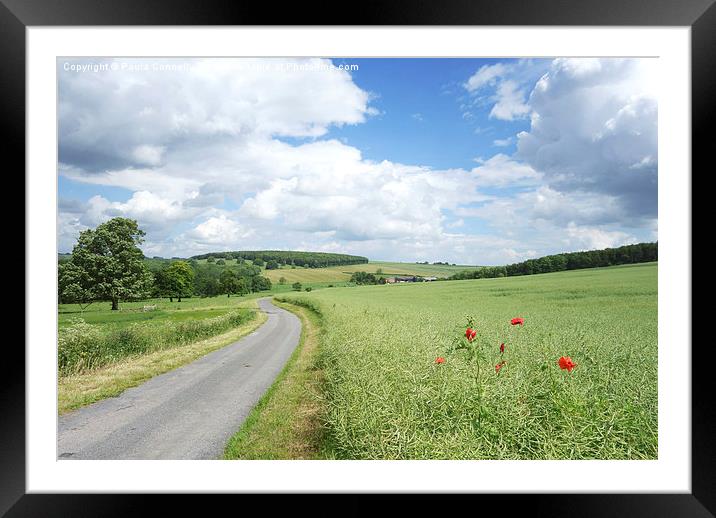 Peaceful country lane Framed Mounted Print by Paula Connelly