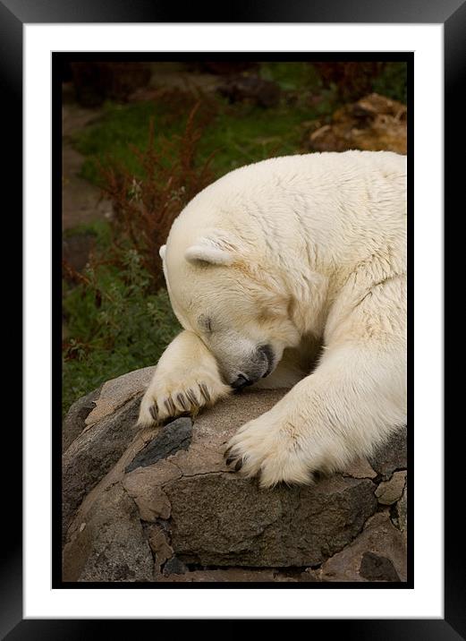 Tired... Framed Mounted Print by Mike Thomson