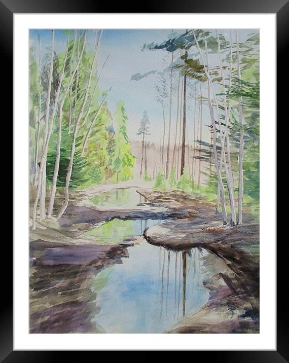 Flooded Forest Framed Mounted Print by Martin Howard