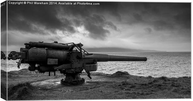 Clifftop Defence Canvas Print by Phil Wareham