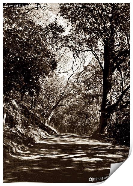 Tritone of Along the Dusty Road Print by james balzano, jr.