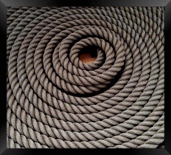 Coiled Rope Framed Print by Angela Rowlands