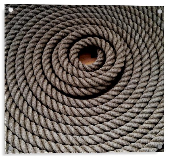 Coiled Rope Acrylic by Angela Rowlands