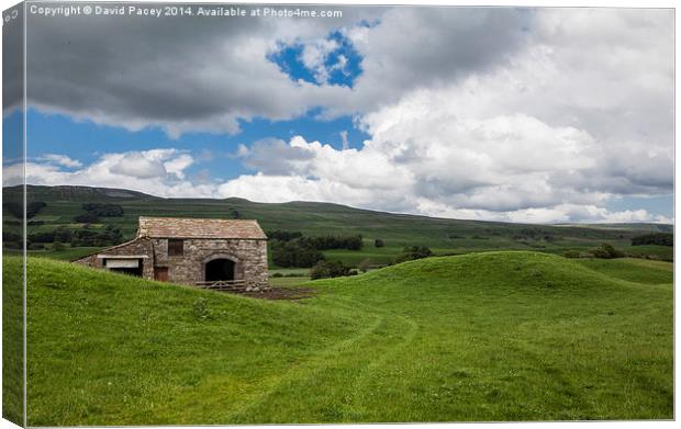 Yorkshire Dales Canvas Print by David Pacey