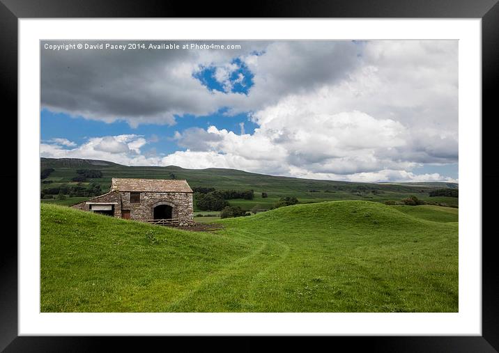 Yorkshire Dales Framed Mounted Print by David Pacey