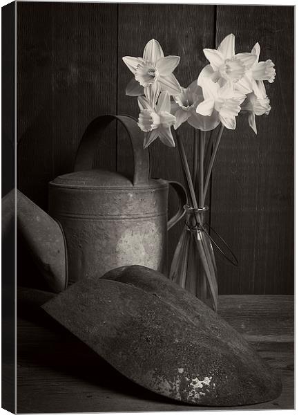 Still life with flowers Canvas Print by Edward Fielding