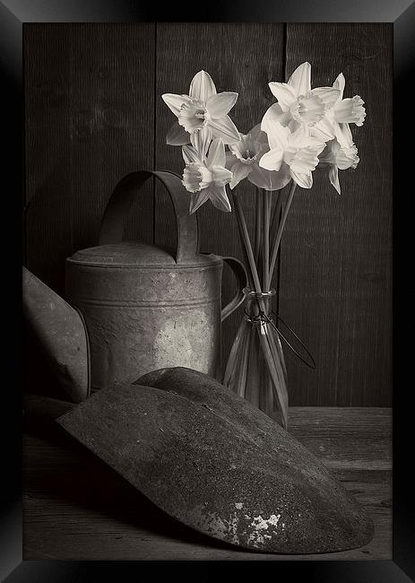 Still life with flowers Framed Print by Edward Fielding