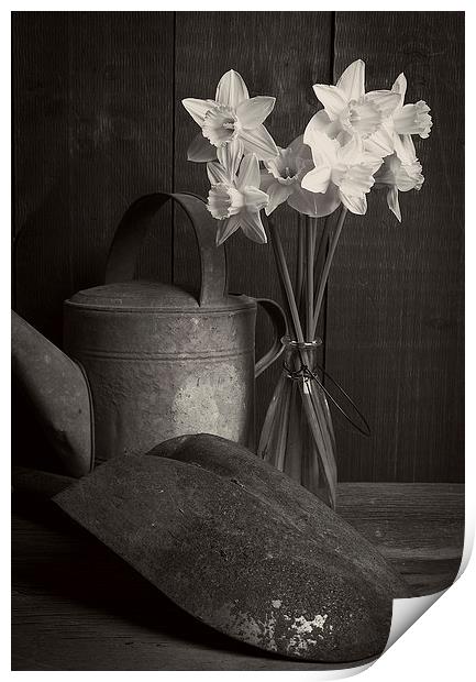 Still life with flowers Print by Edward Fielding