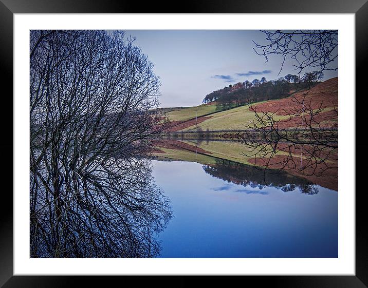 Perfectly still Framed Mounted Print by Laura Kenny
