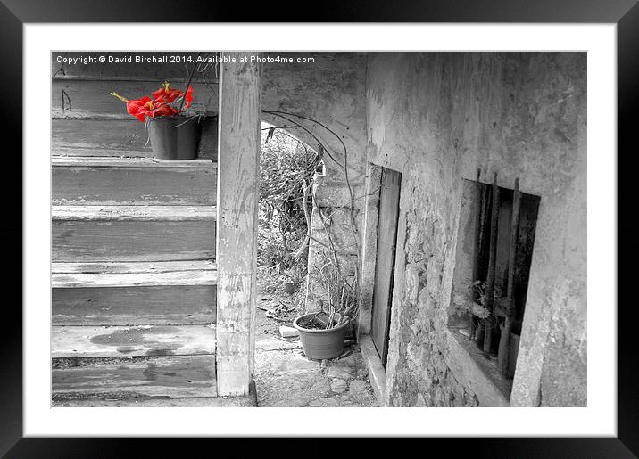 Survivor On The Stairs Framed Mounted Print by David Birchall