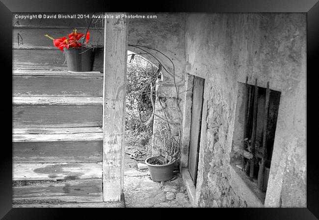 Survivor On The Stairs Framed Print by David Birchall