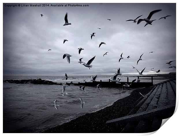 Seagulls at Cleveleys. Print by Lilian Marshall