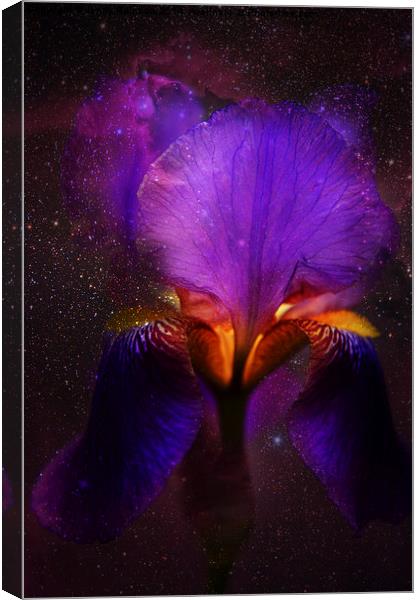 Risen from Stars. Cosmic Iris Canvas Print by Jenny Rainbow