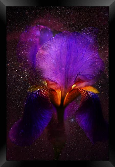 Risen from Stars. Cosmic Iris Framed Print by Jenny Rainbow