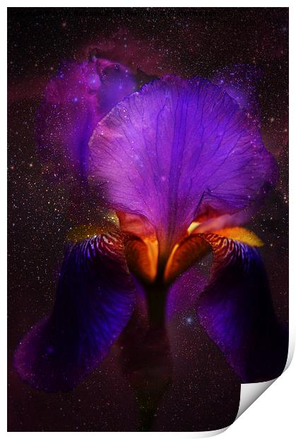Risen from Stars. Cosmic Iris Print by Jenny Rainbow