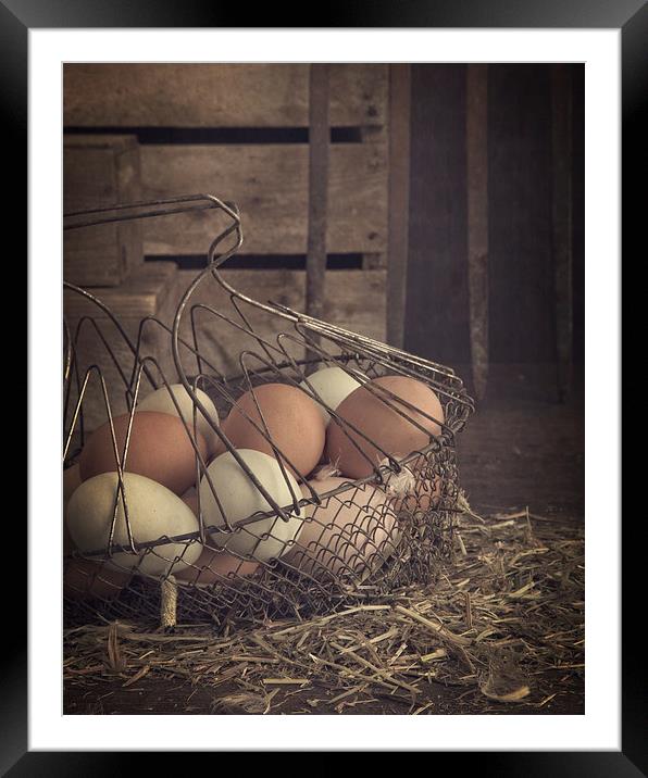 Eggs in vintage wire egg basket Framed Mounted Print by Edward Fielding