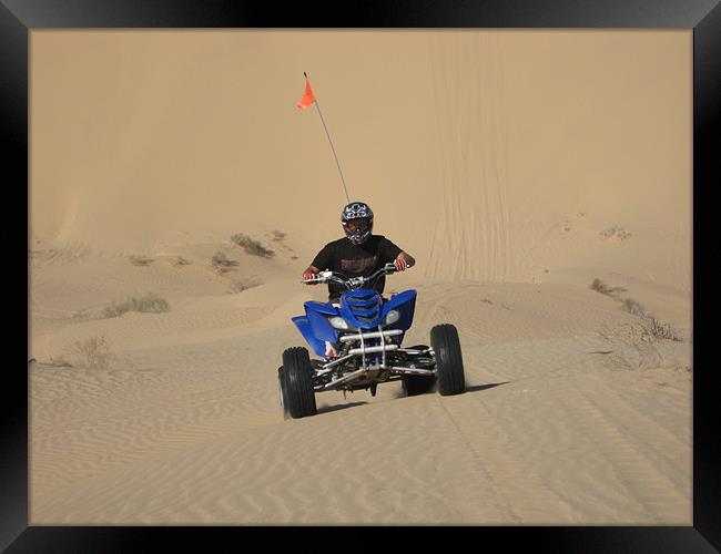 ATV Rider at the Dunes Framed Print by Diane Brause