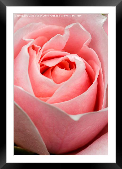 Folds of Beauty Framed Mounted Print by Dave Cullen