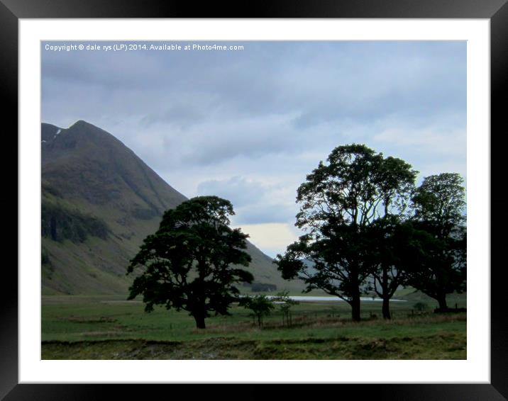 4 trees of glencoe Framed Mounted Print by dale rys (LP)