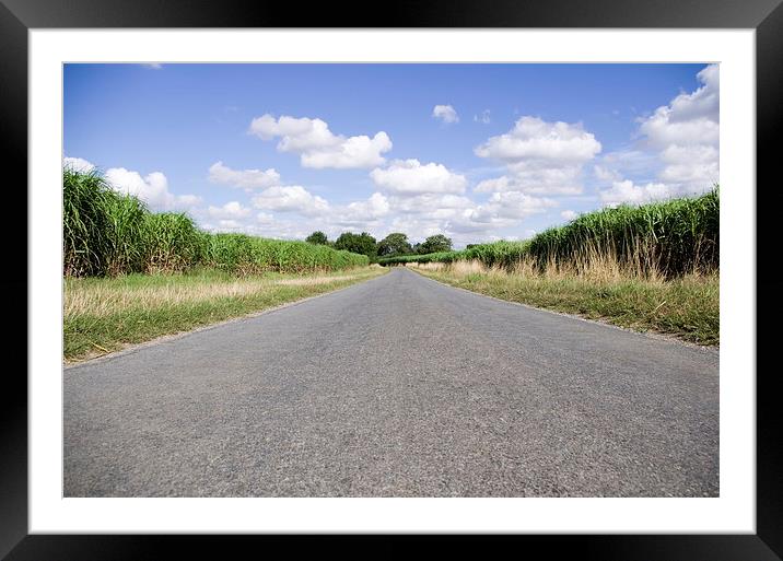 The Long Road Framed Mounted Print by Richard Pinder