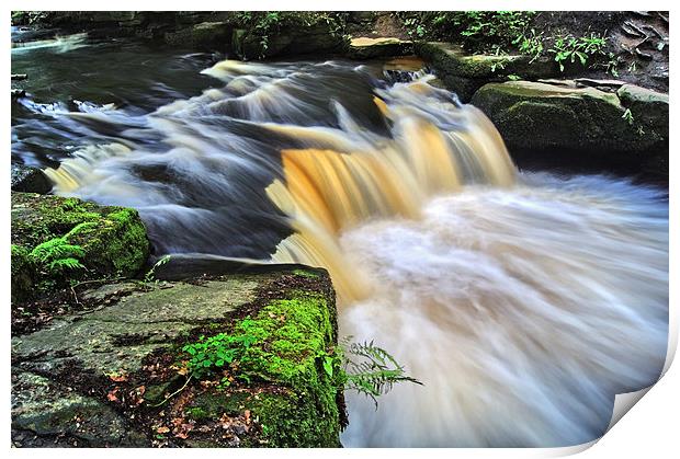 Rivelin Falls in Summer Print by Darren Galpin